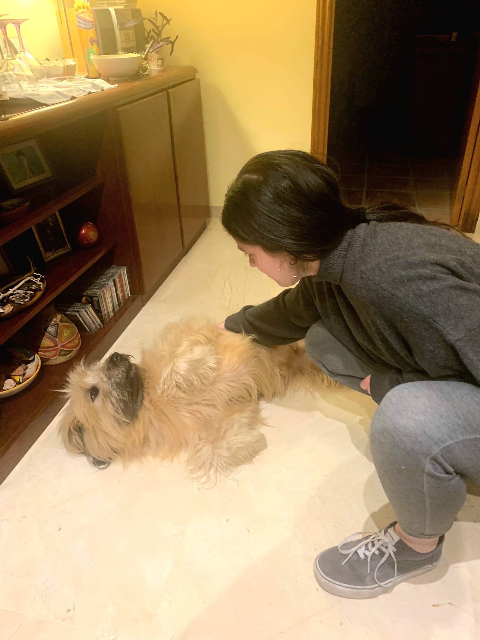 Marta, pet sitter in Nijmegen, photo 2