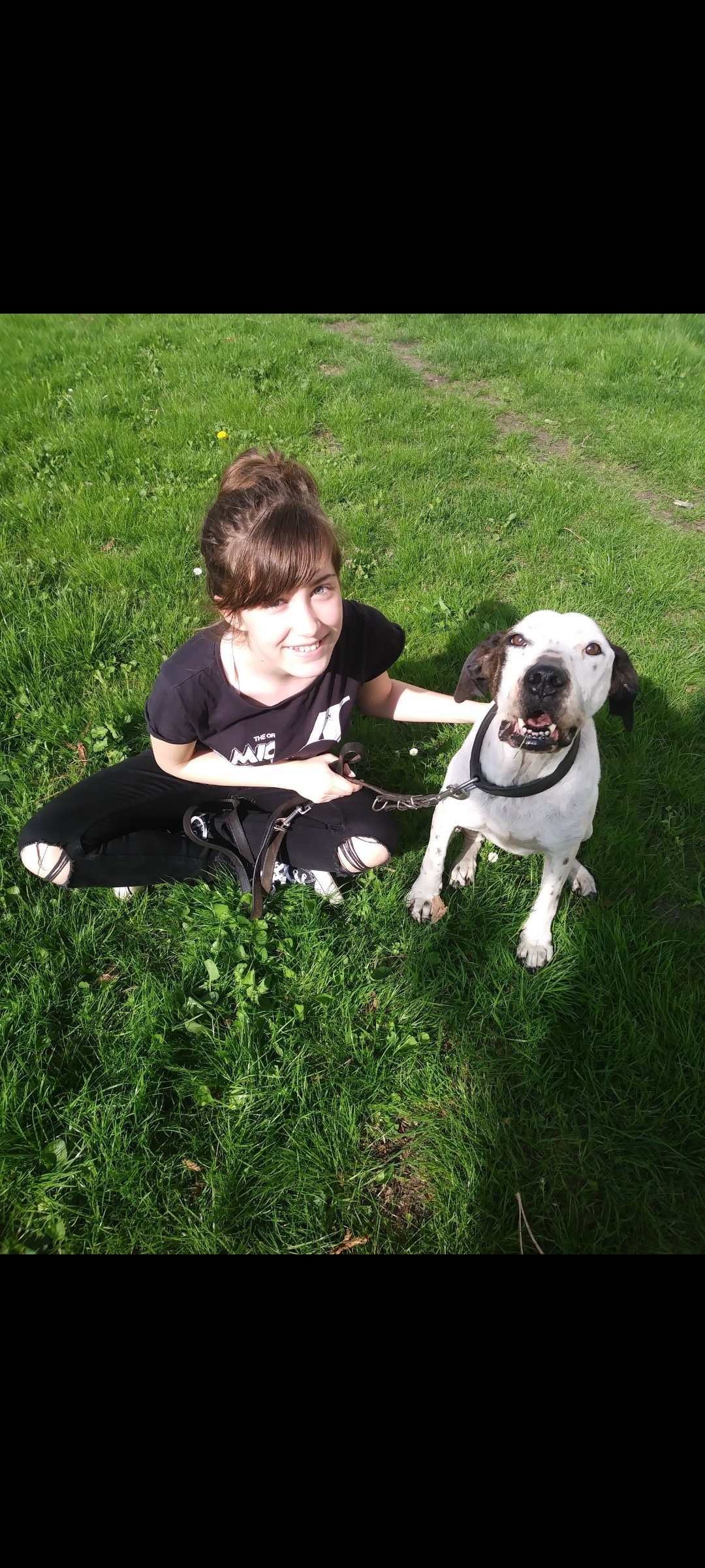 Lilli, Tiersitter in Berlin, Foto 1
