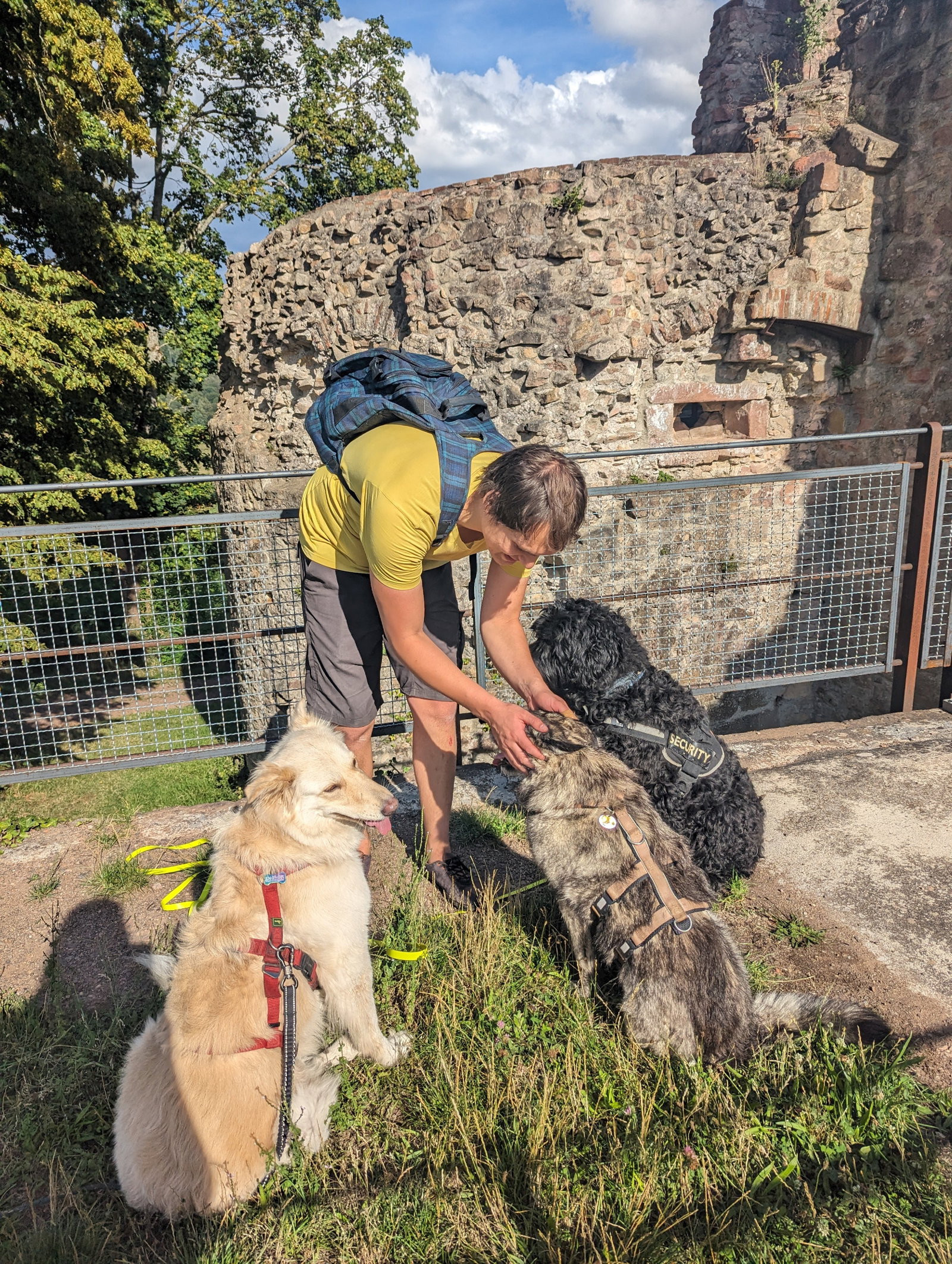 Jana, pet sitter in Bonndorf im Schwarzwald, photo 3