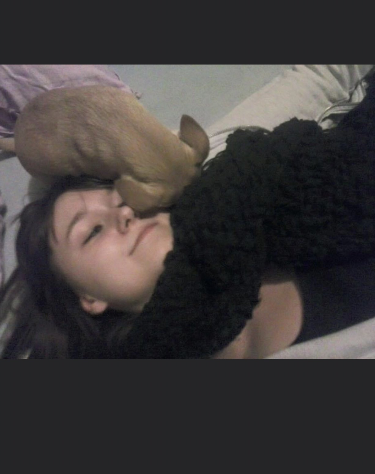 Melissa, pet sitter in Landsmeer, photo 5