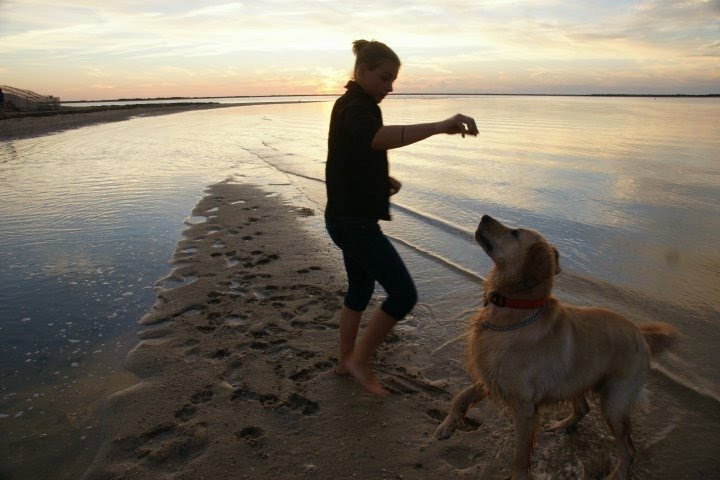 Kendolyn, pet sitter in Amsterdam, photo 1