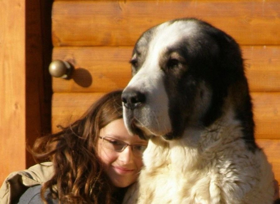 Katarina, pet sitter in Hilversum, photo 4