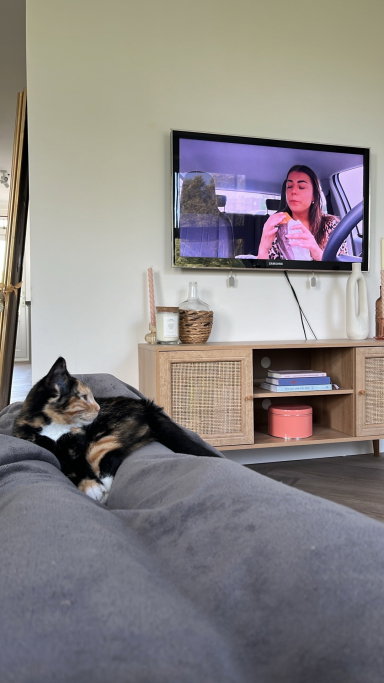 lotje, pet sitter in Amsterdam, photo 2