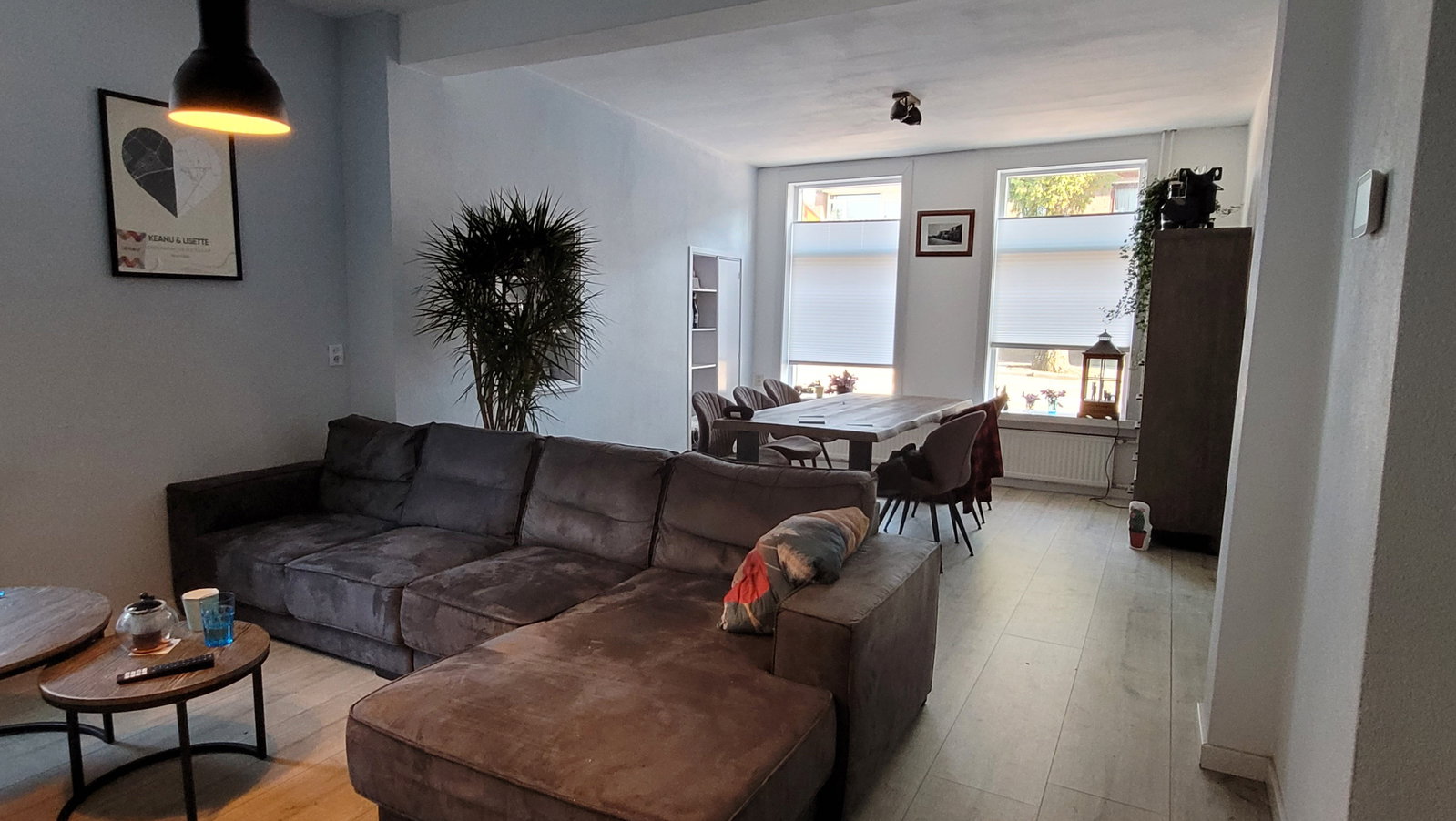 Keanu, pet sitter in Sassenheim, photo 3