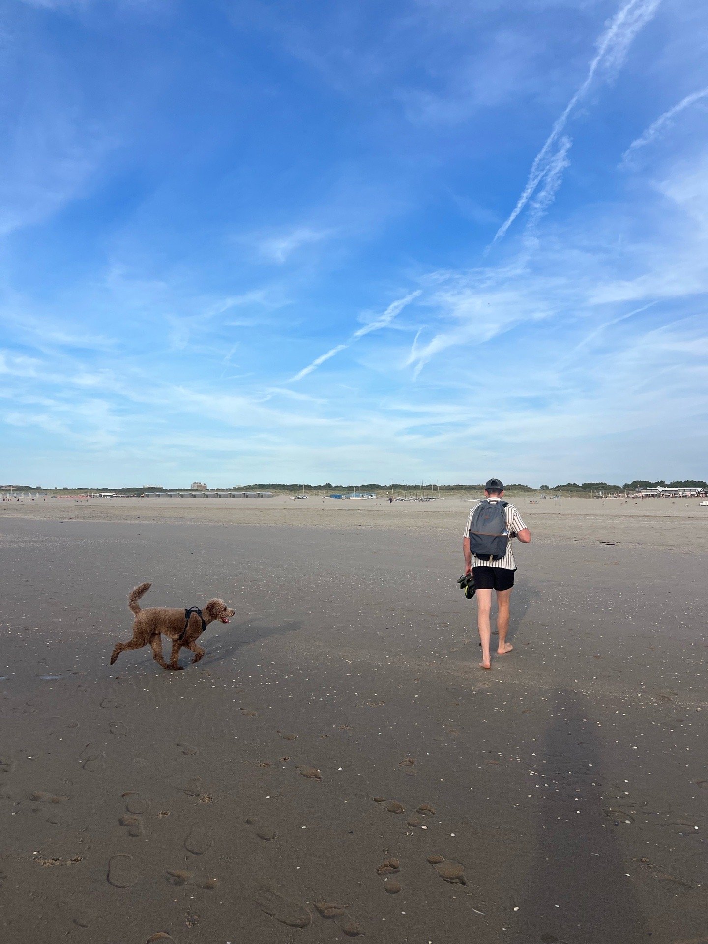 Liezl, pet sitter in Den Haag, photo 2