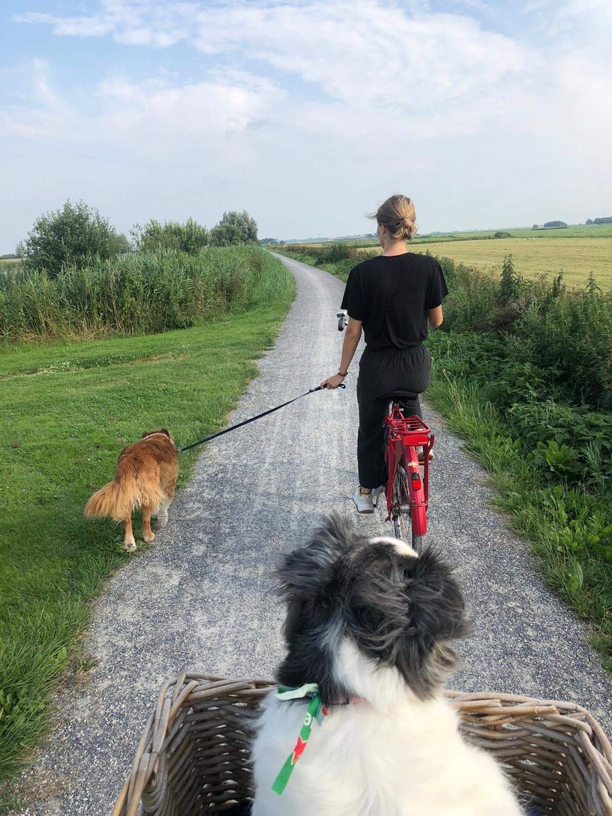 Nina, pet sitter in Amsterdam, photo 1