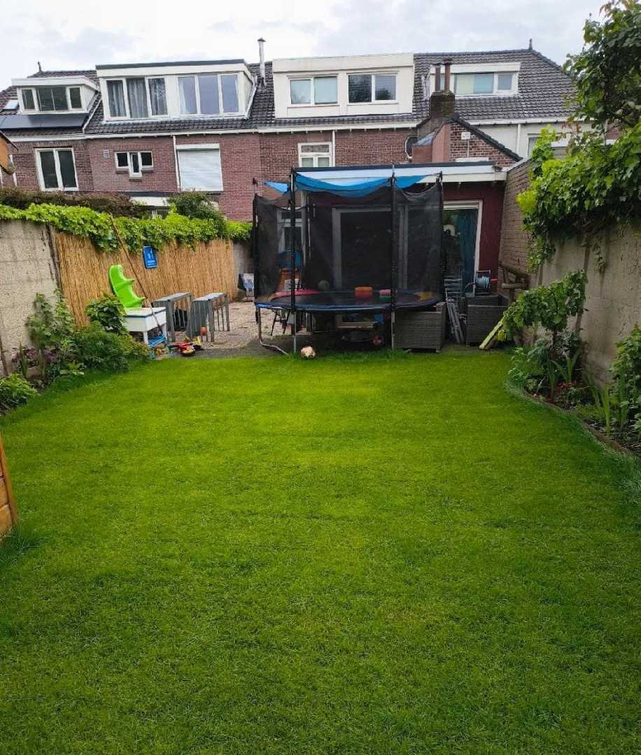 Jim, pet sitter in Tilburg, photo 1