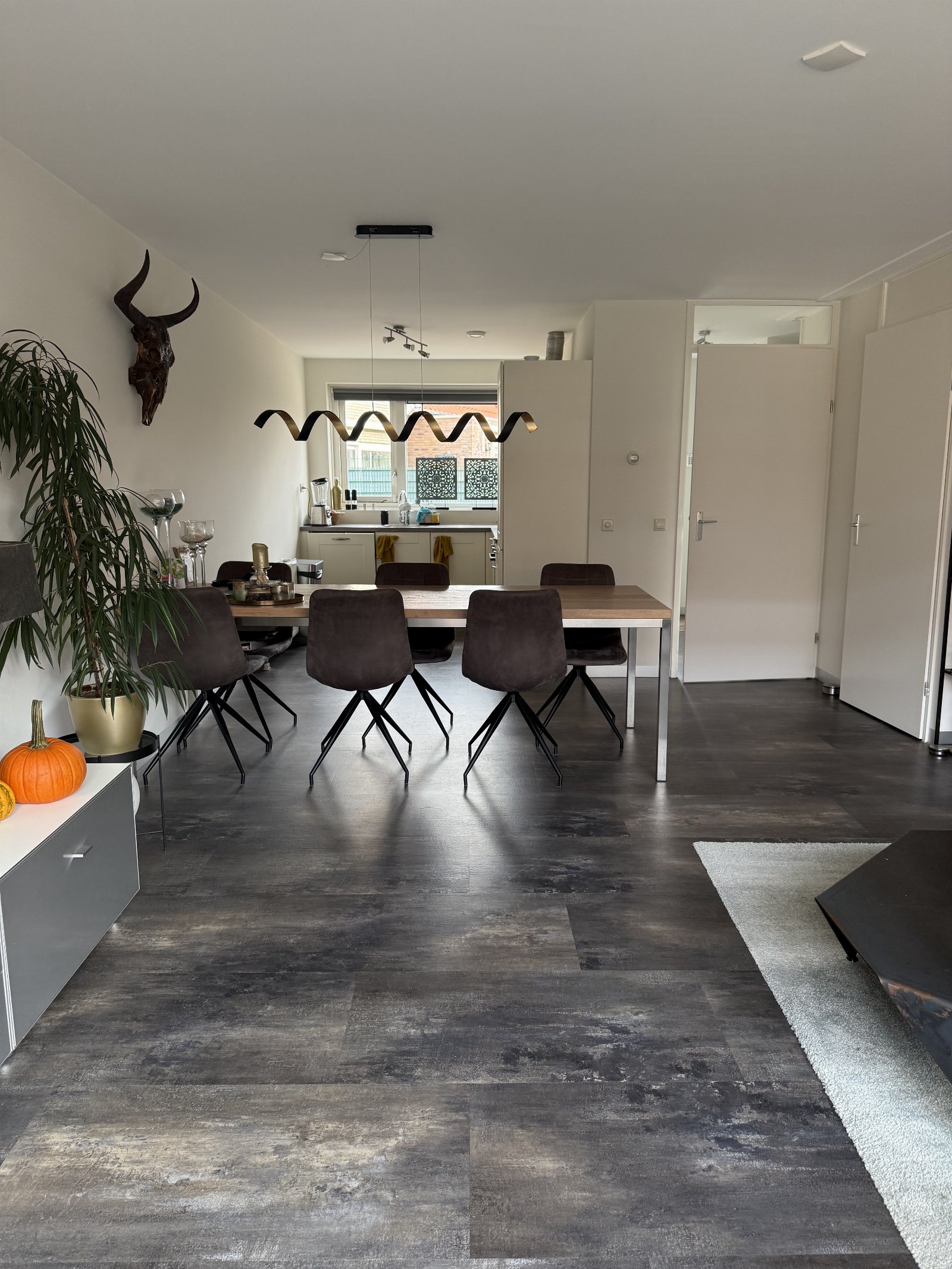 Dieuwke, dierenoppas in Wateringen, foto 4