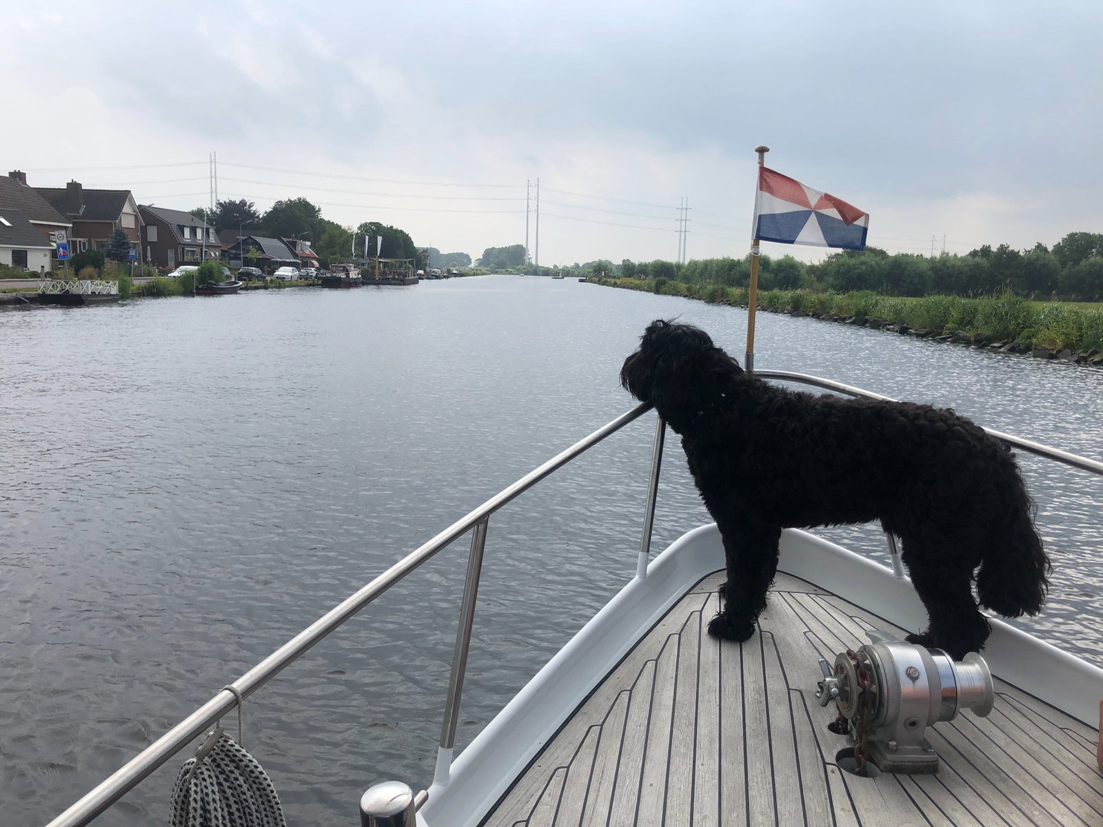 Lyda, pet sitter in Zoetermeer, photo 2
