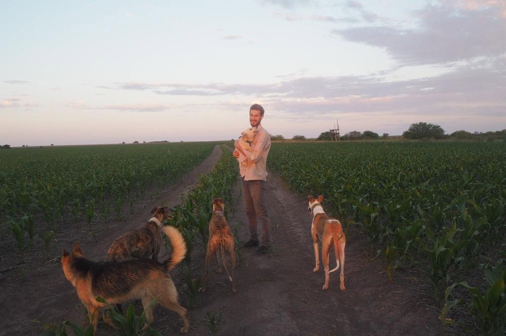 Jerónimo, pet sitter in Rotterdam, photo 2