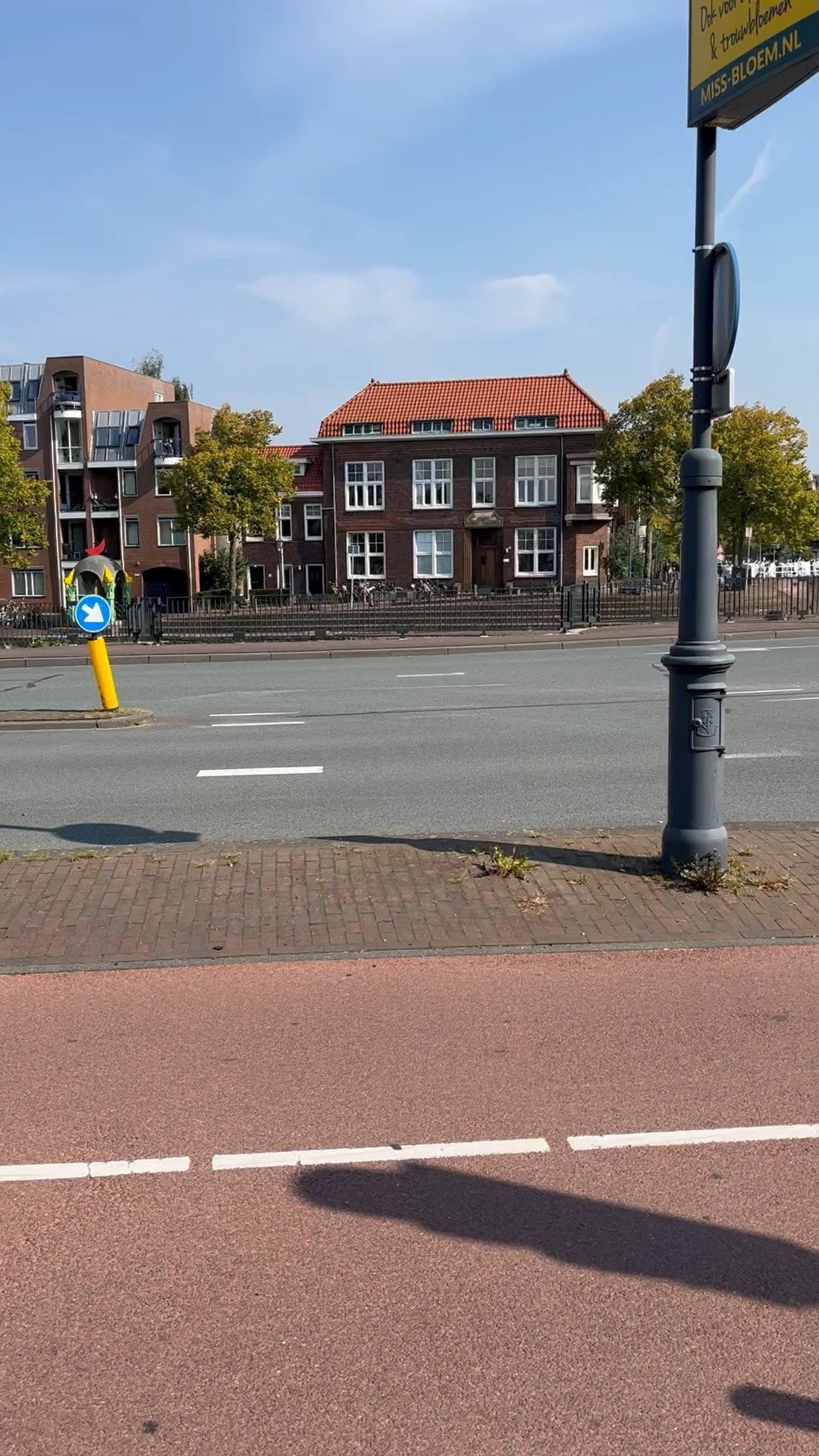 Ricky, pet sitter in Rotterdam, photo 1
