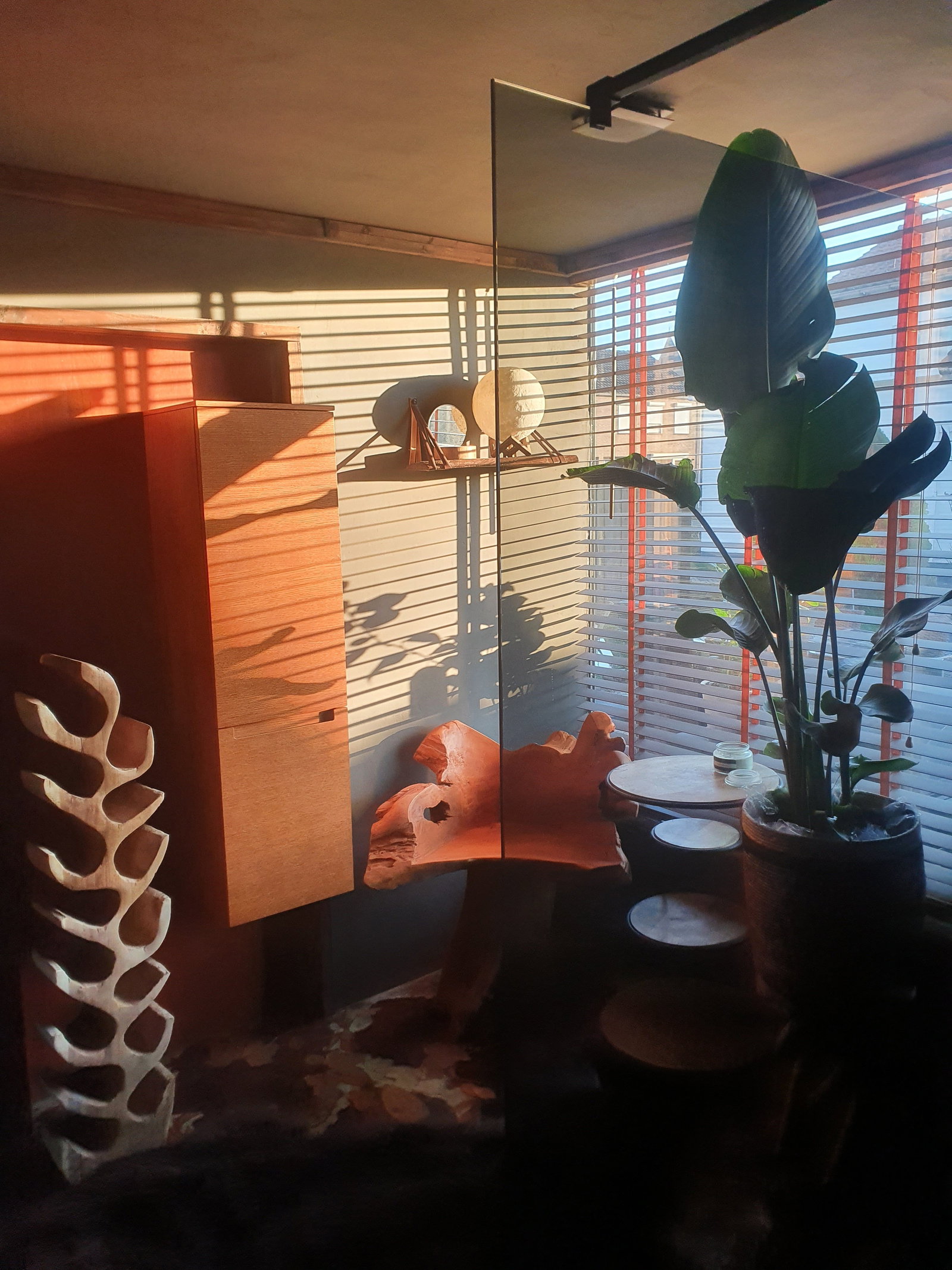 Yves, pet sitter in Alphen, photo 5