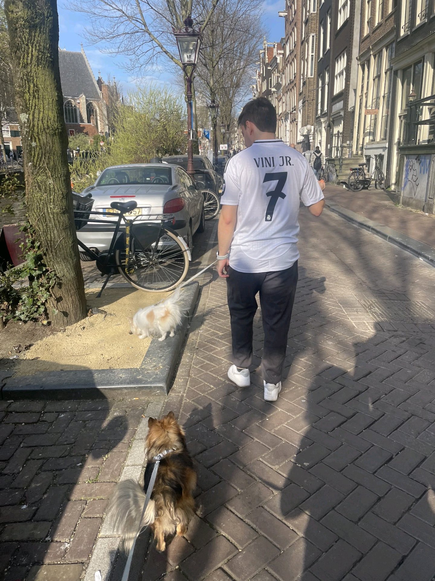 Marcelo, pet sitter in Leiden, photo 2