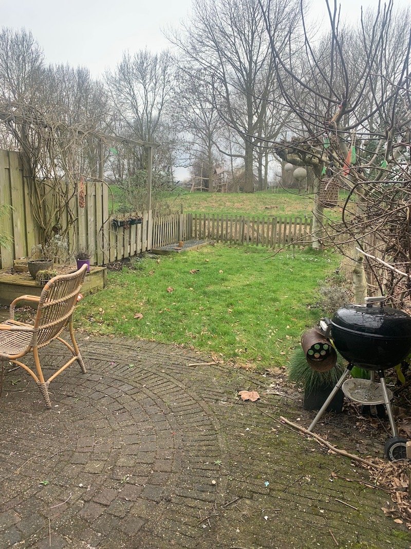 Jill, dierenoppas in Weesp, foto 1