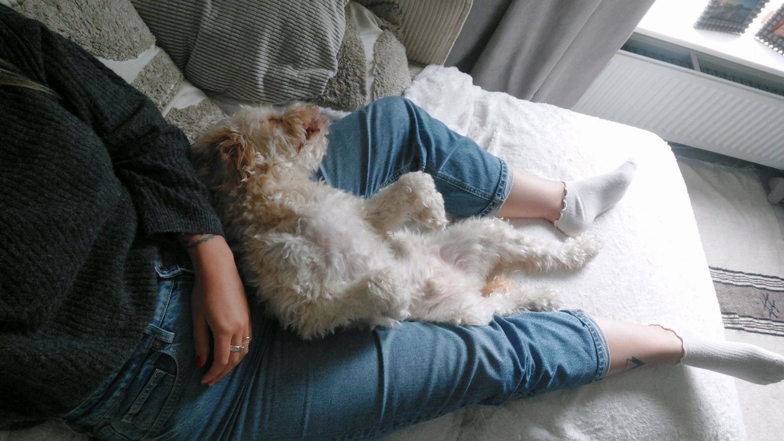Nadia, pet sitter in Nijmegen, photo 5