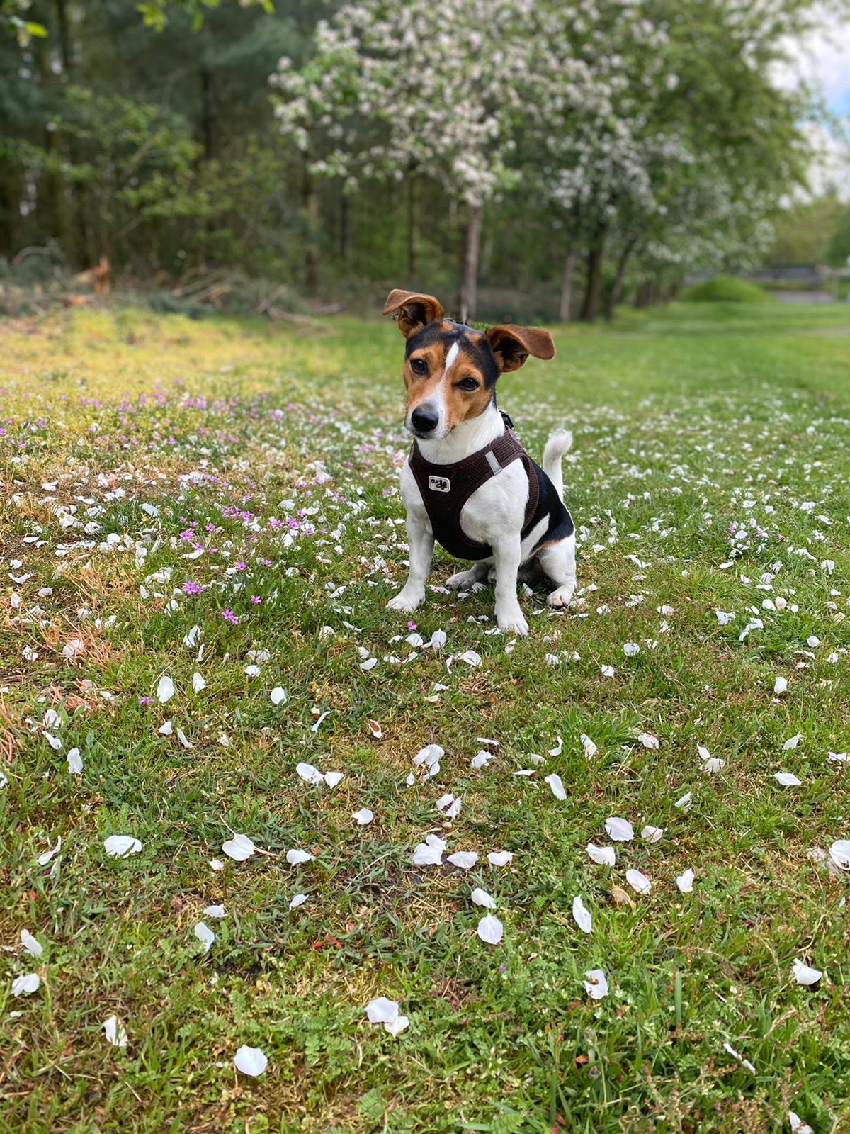 Christina, Tiersitter in Hamburg , Foto 2