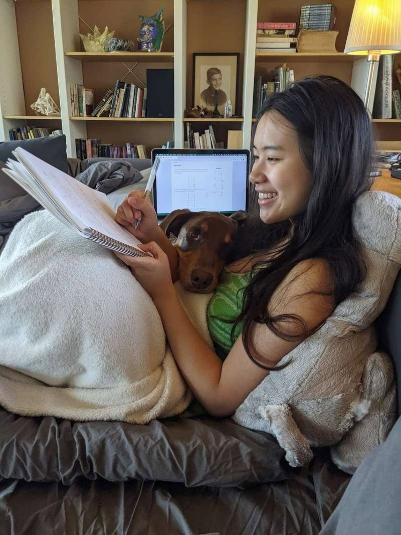 Ellen X, pet sitter in Amsterdam, photo 2