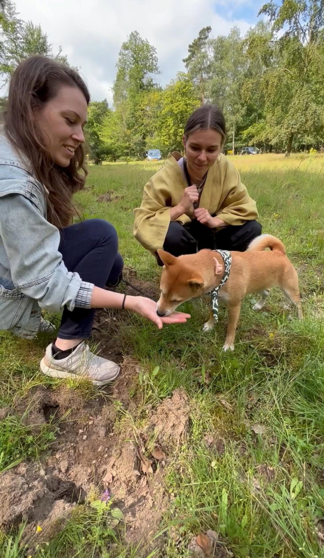 Jeanine, pet sitter in Laag-Soeren, photo 3