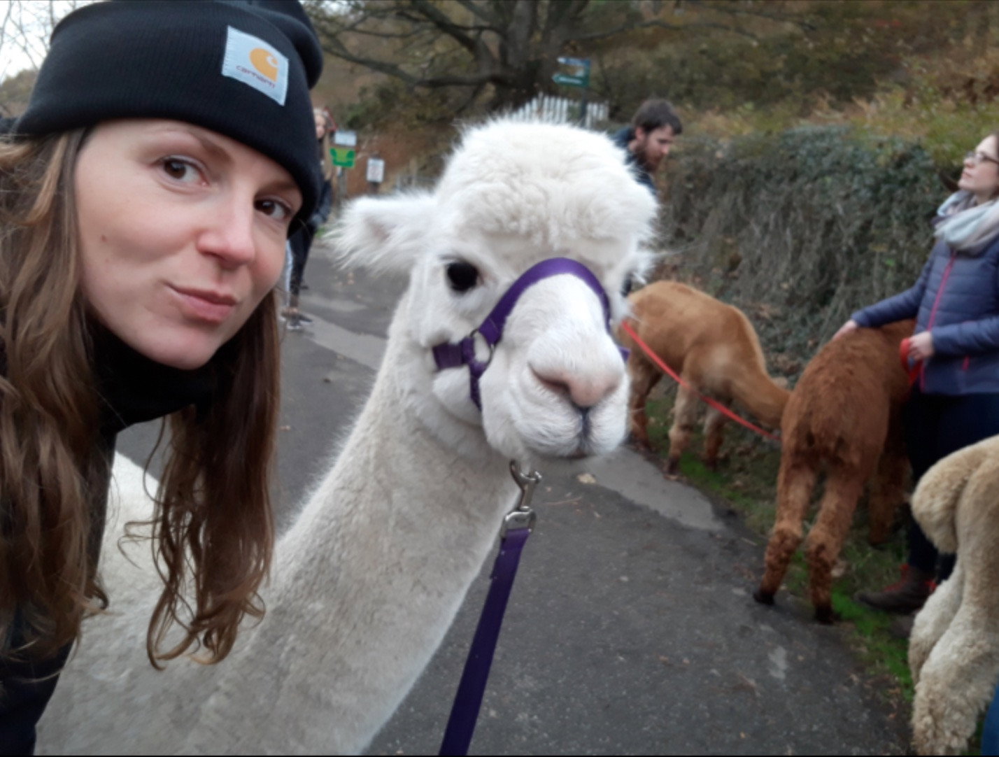 Sally, pet sitter in Heemstede, photo 4