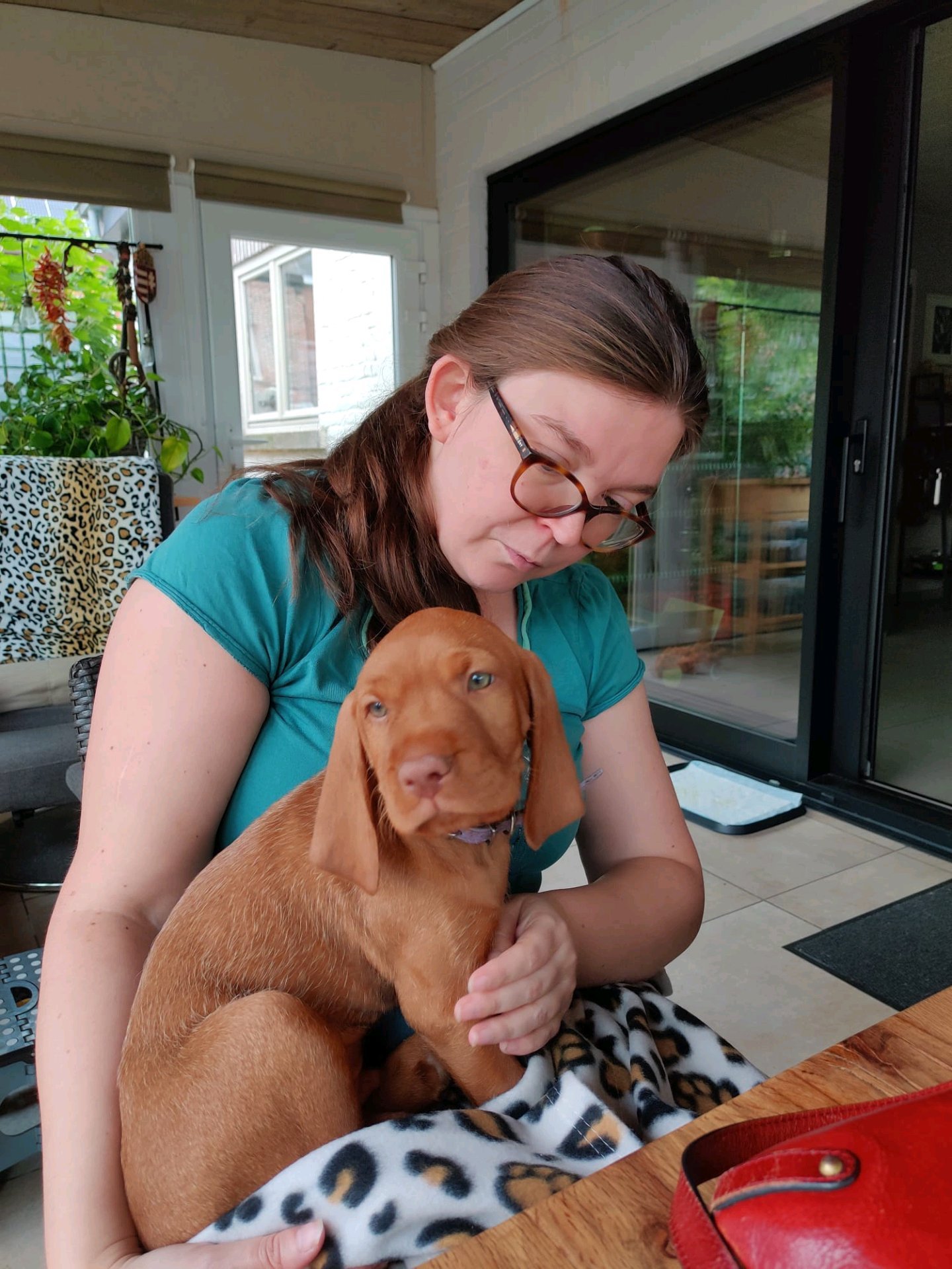 Freya, dierenoppas in Overijse, foto 3