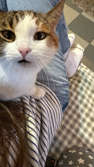 Daria, pet sitter in Maastricht, photo 1