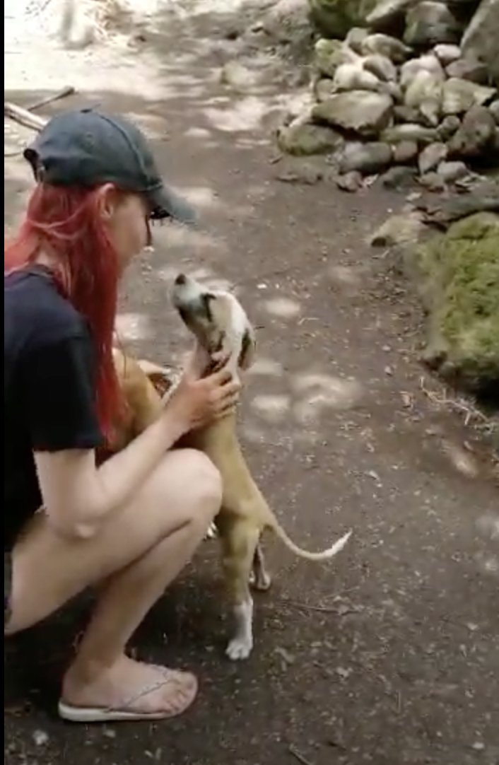 anna, pet sitter in Amsterdam, photo 3