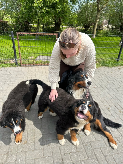 Emily, pet sitter in 's-Gravenhage, photo 2