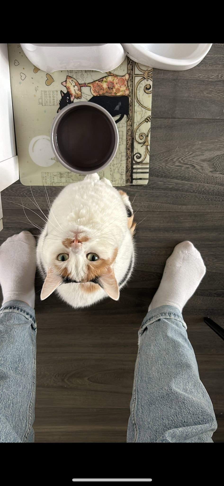 Esmeralda, pet sitter in Breda, photo 2