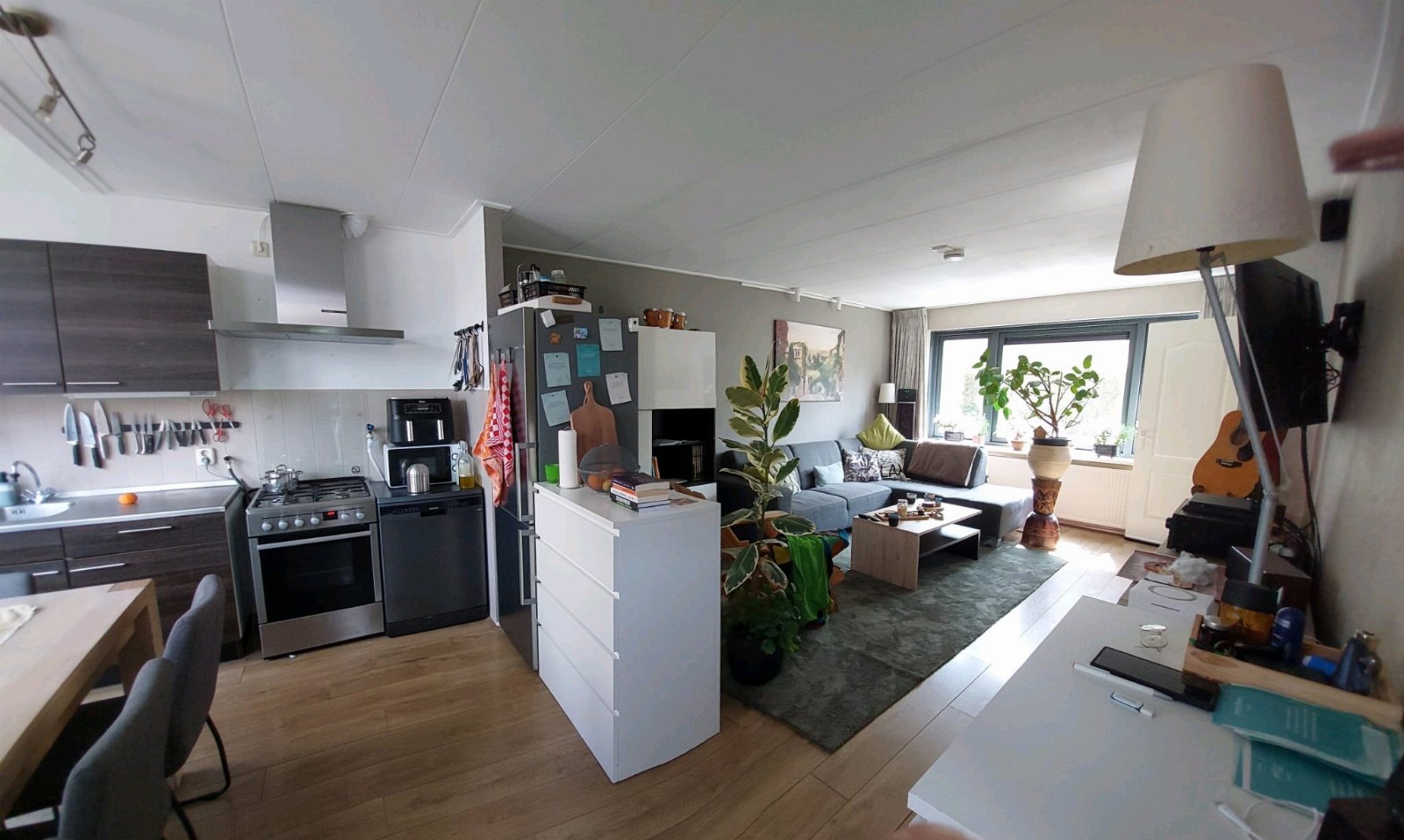 Thomas, dierenoppas in Arnhem, foto 1