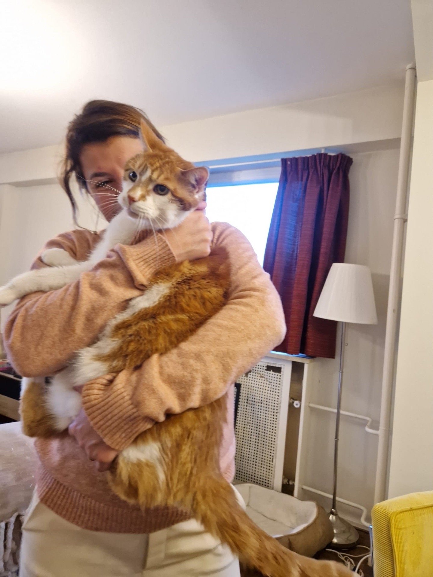 Vivi, pet sitter in Den Haag, photo 1