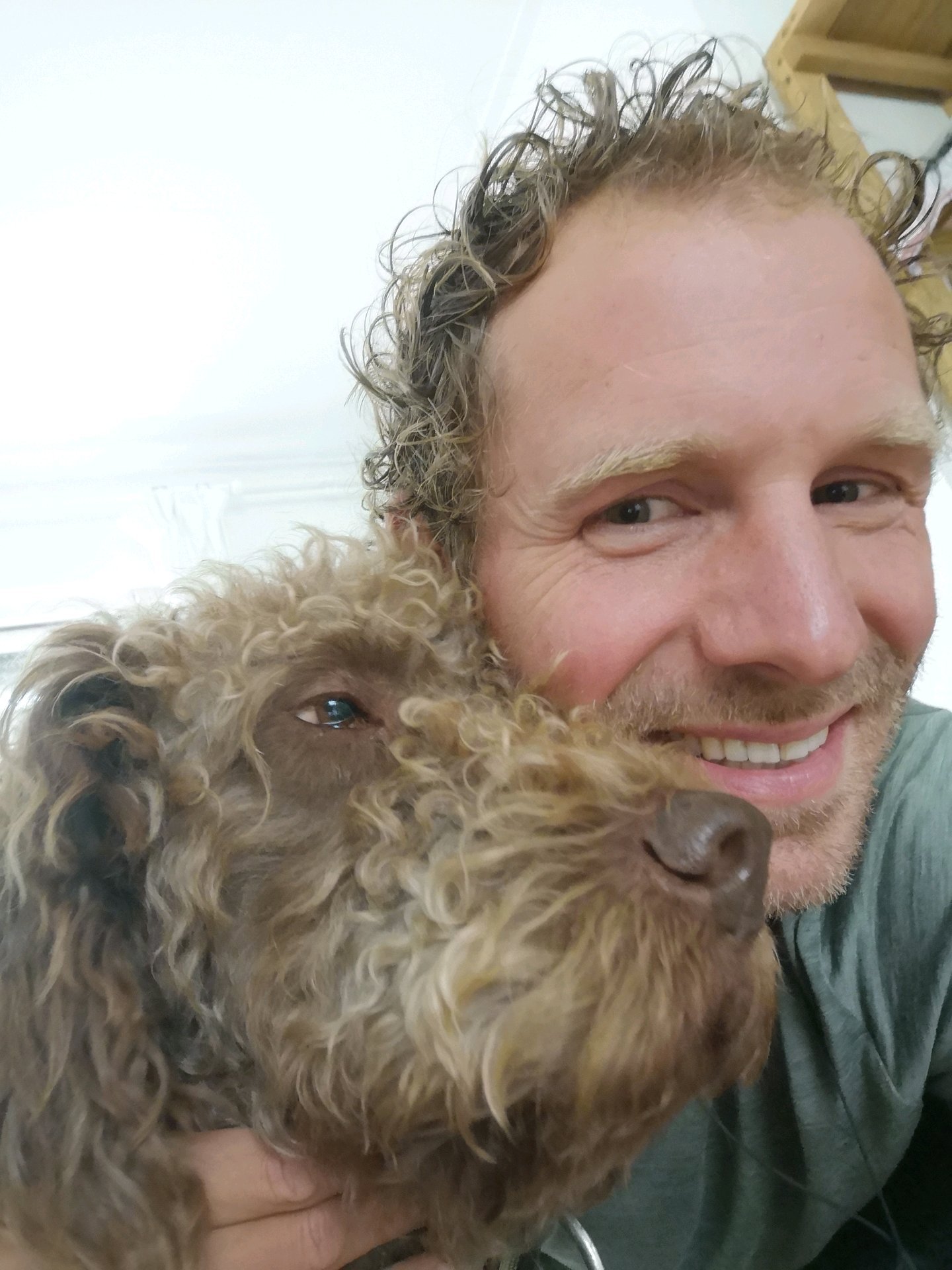 Remy, pet sitter in Velp, photo 1