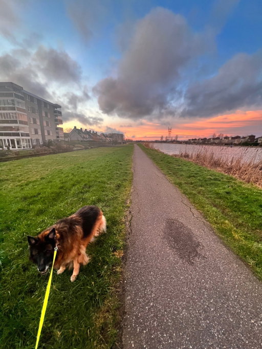 Laura, pet sitter in Amsterdam, photo 1