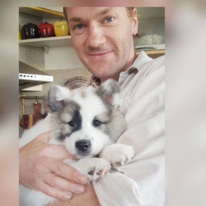 Mario, pet sitter in Driehuis, photo 1
