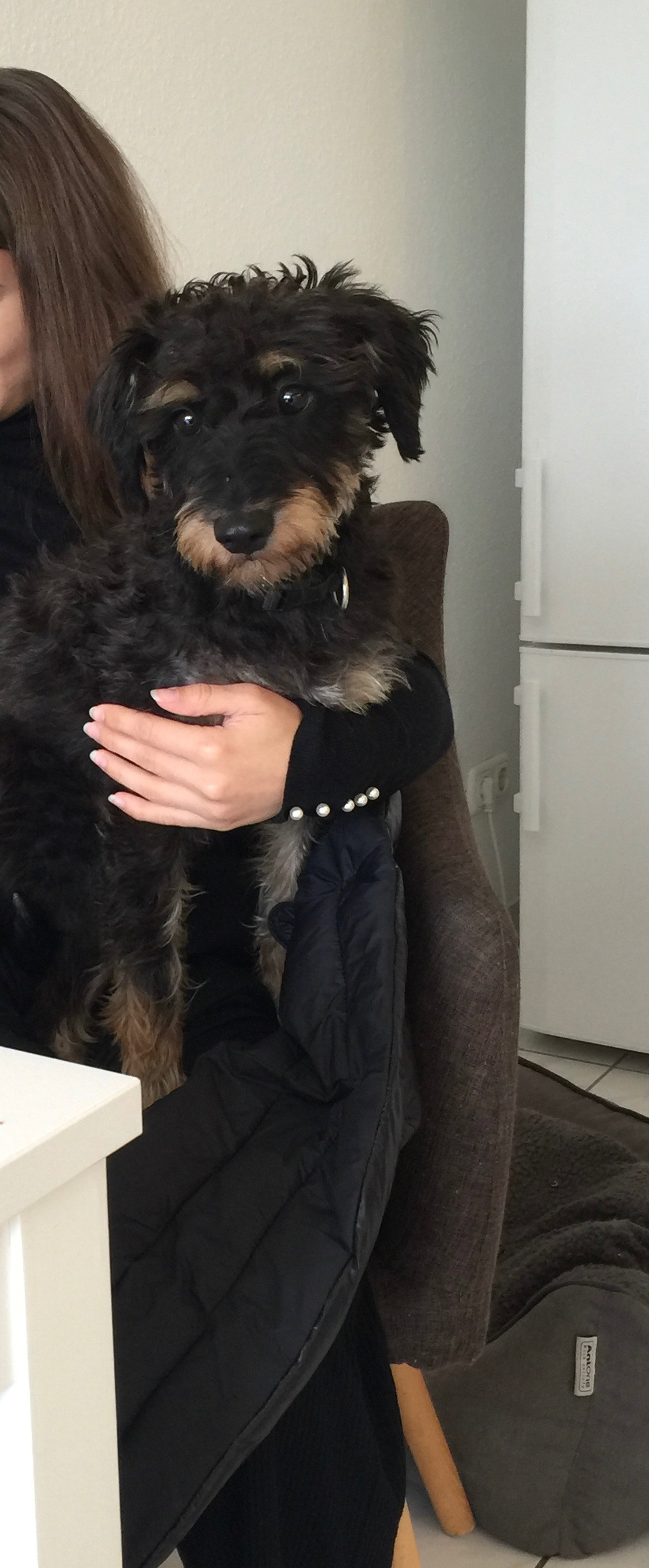 Maya, Tiersitter in Köln, Foto 1
