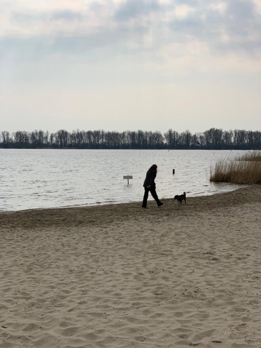 Helen, pet sitter in Nederhorst den Berg, photo 3