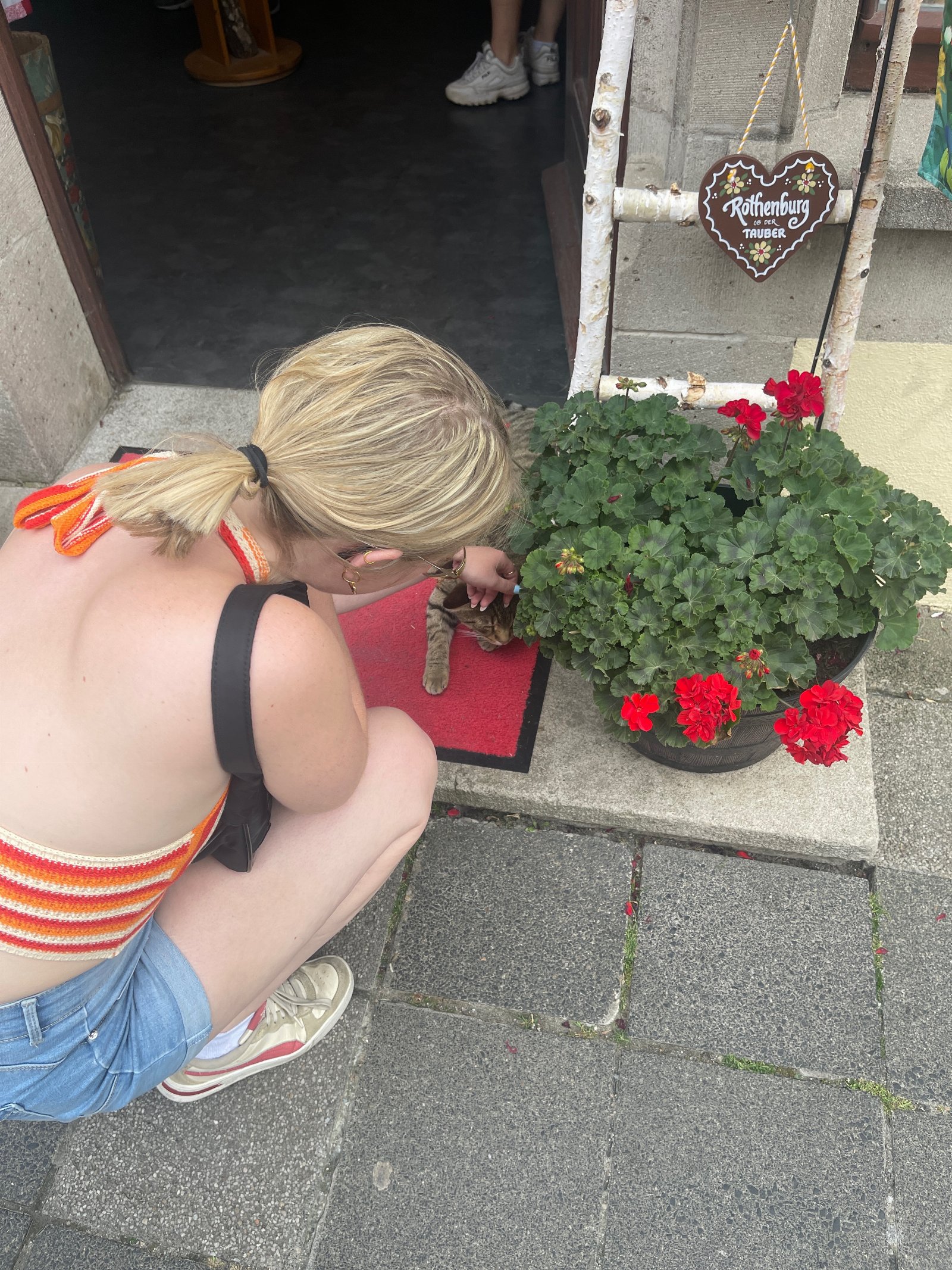 nina, dierenoppas in makkum, foto 3
