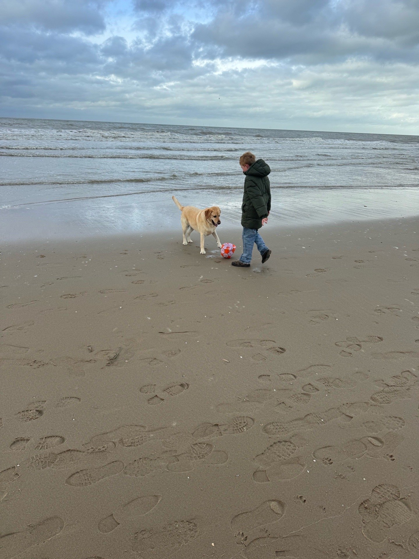Chantalle, pet sitter in Amsterdam, photo 3