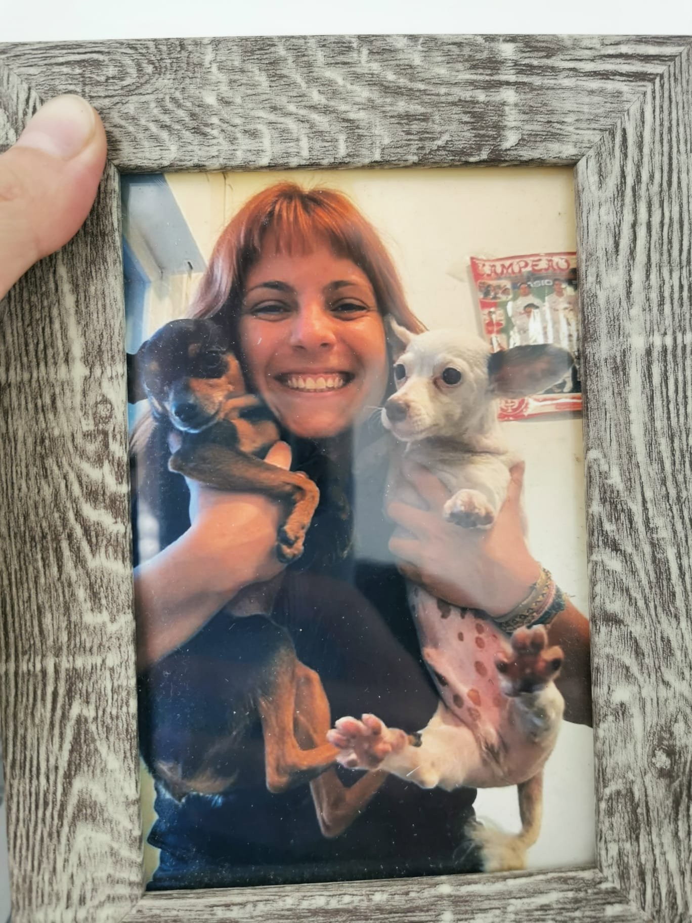 Marcia, Tiersitter in Berlin, Foto 1