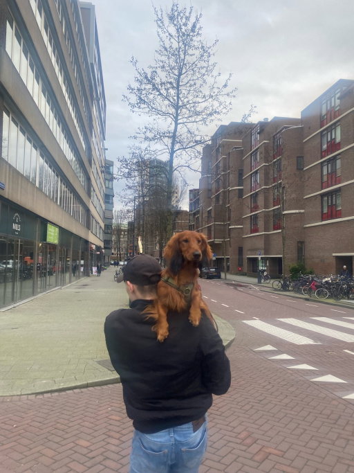 Nawaal, pet sitter in Gouda, photo 5
