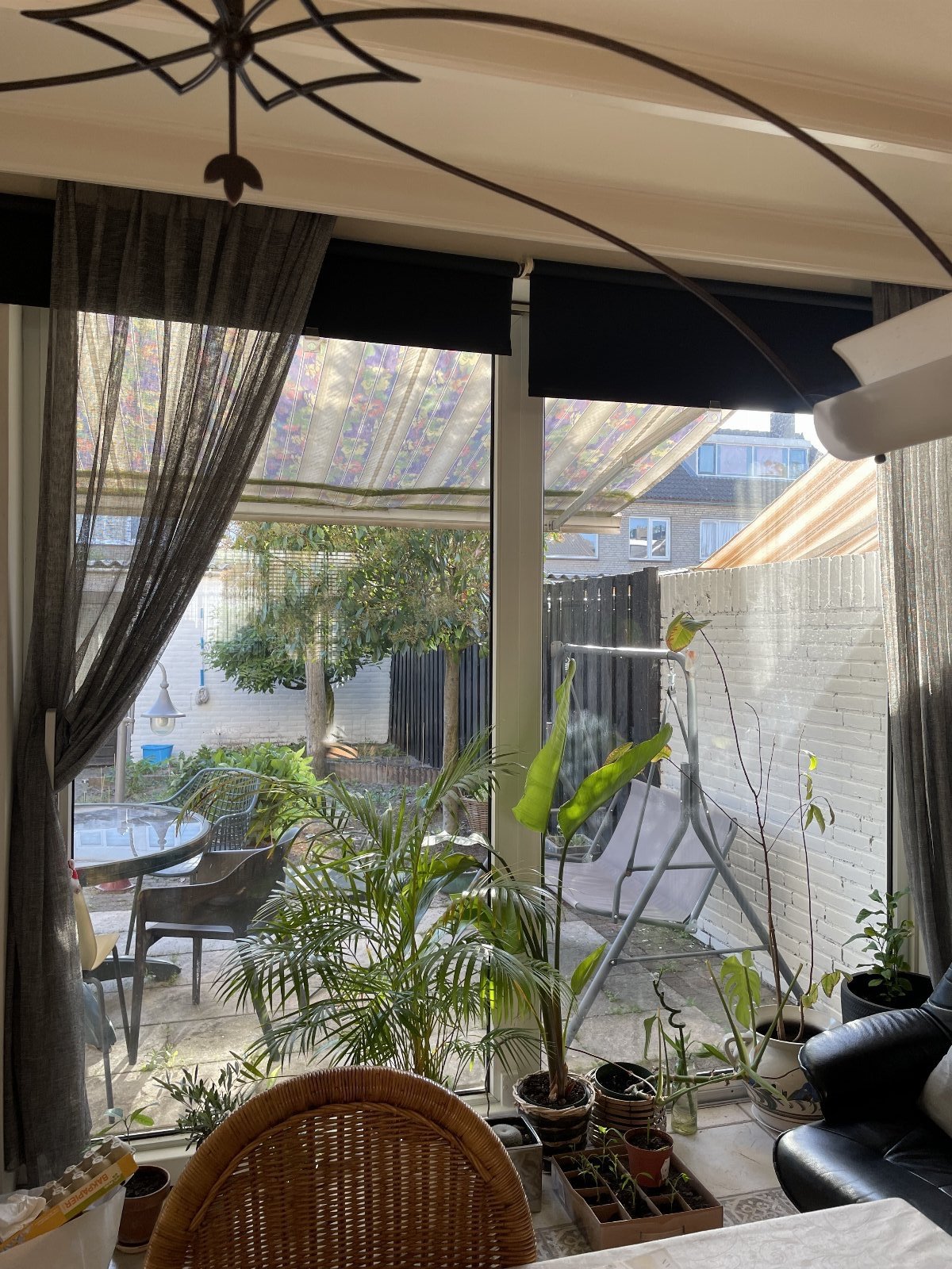 Jaqueline, pet sitter in Waalwijk, photo 5