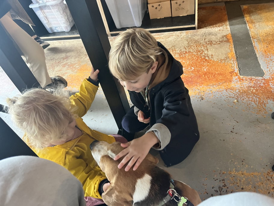 Tatiana, pet sitter in Amsterdam, photo 3