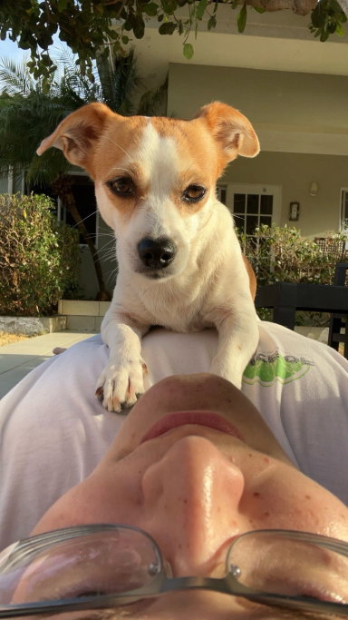 Raphael, pet sitter in Eindhoven, photo 4