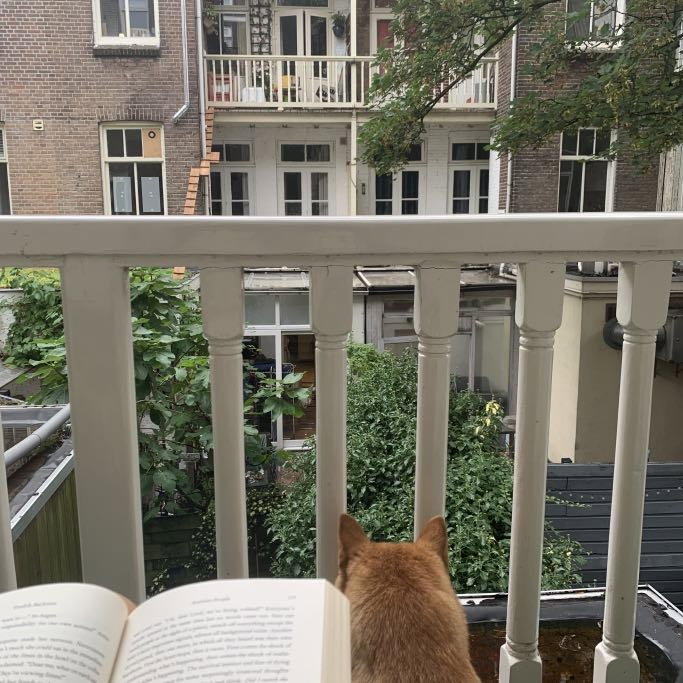 Jue, pet sitter in Almere, photo 1
