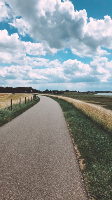 babet, pet sitter in Lemelerveld, photo 3