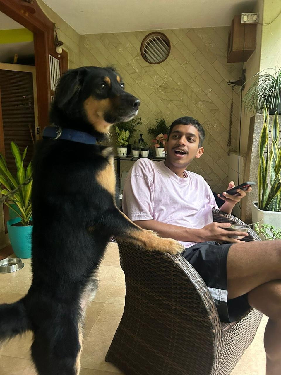 Venkatesh, pet sitter in Velp, photo 2