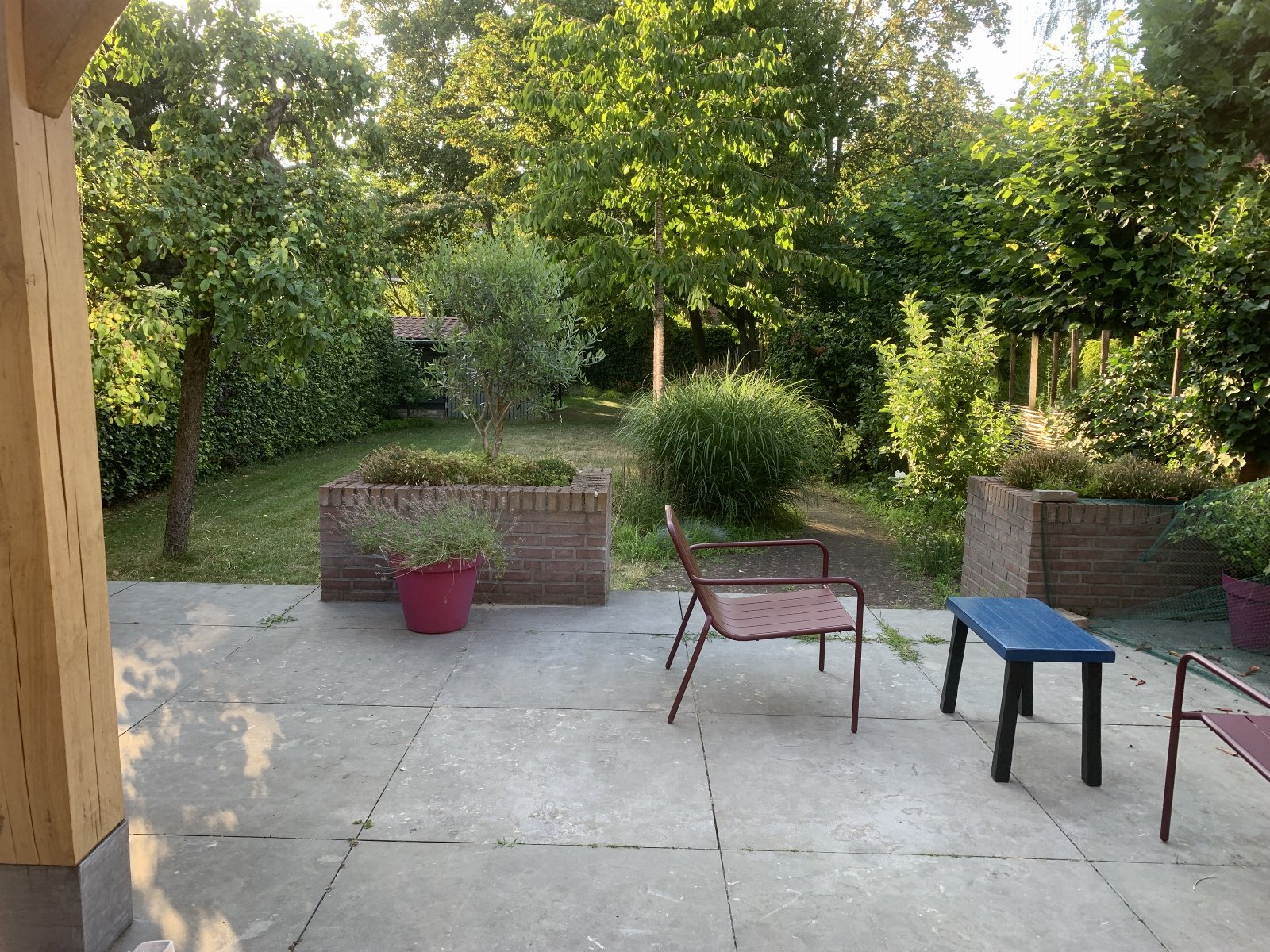 Annemarie, dierenoppas in Nijmegen, foto 2