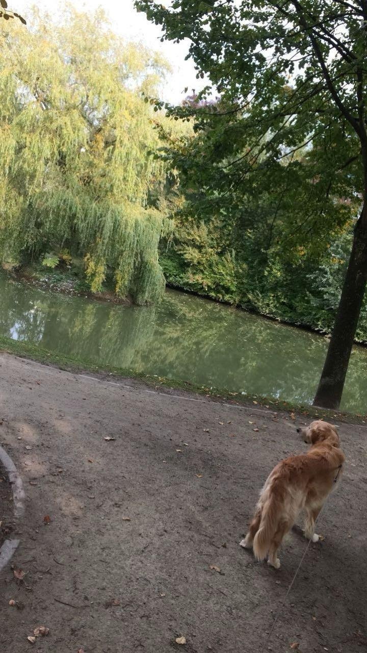 Marleen, pet sitter in Eindhoven, photo 2