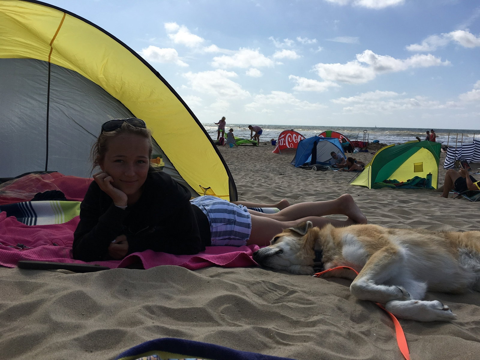 Leonie, pet sitter in Leeuwarden, photo 2
