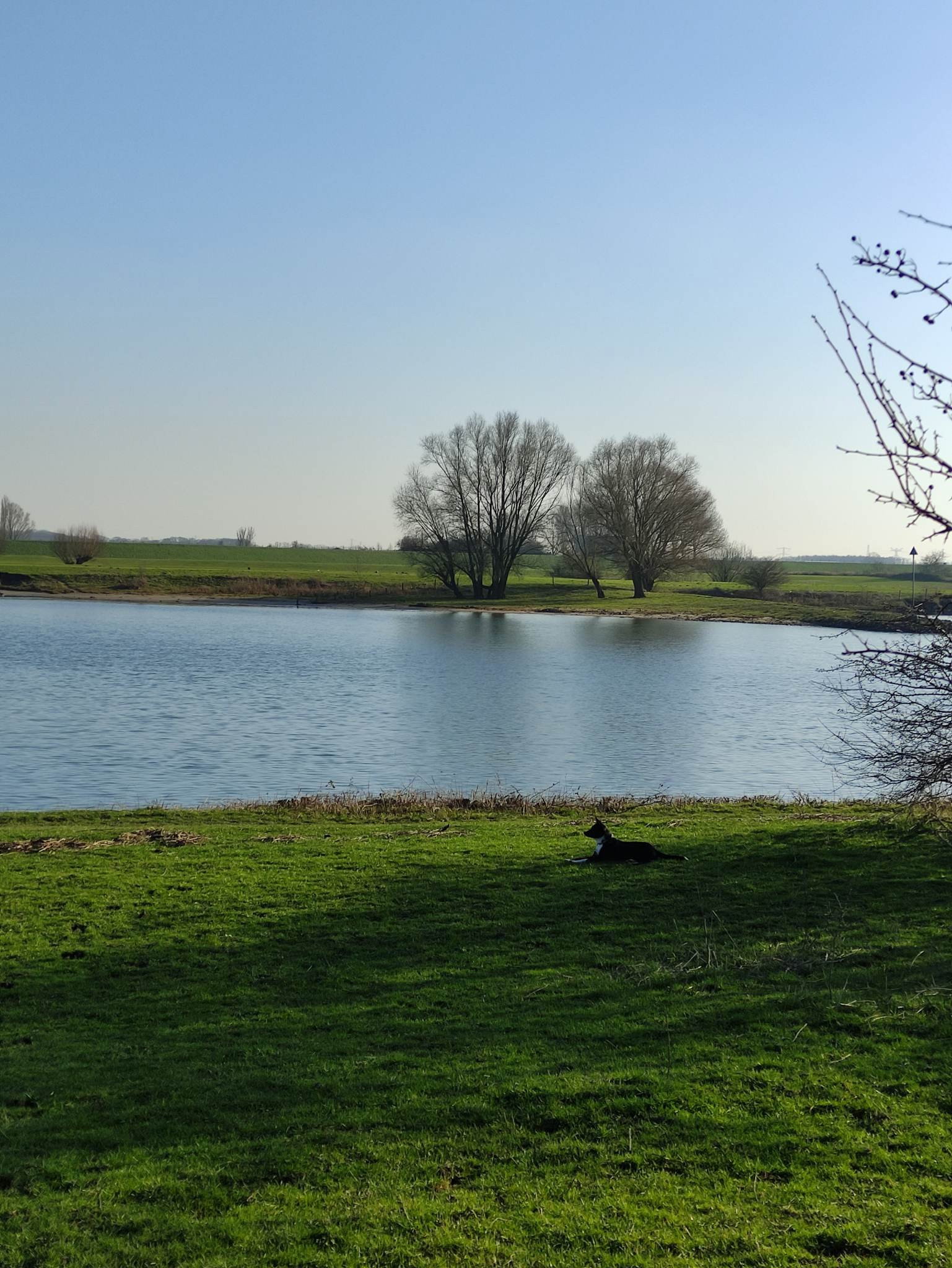 Ourania, dierenoppas in Wageningen, foto 2