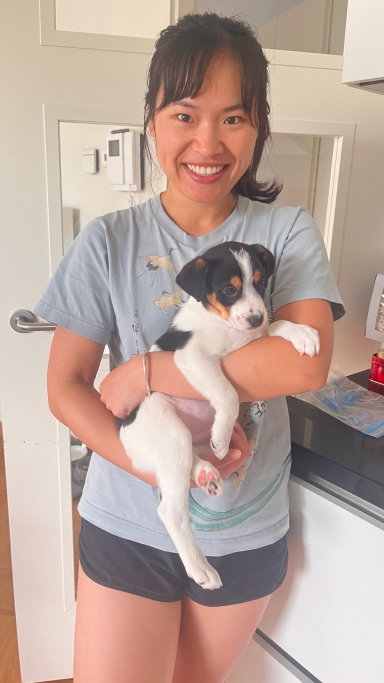 Mumu, pet sitter in Diemen, photo 1